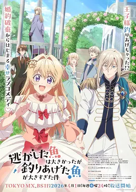 星光办公室
